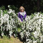 Светлана Шумихина 66 лет (Козерог) Черкесск