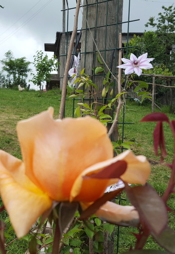 With you forever (@cavarly) — my photo № 23