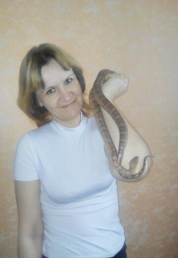 Моя фотография - Людмила, 46 из Коряжма (@ludmila95457)