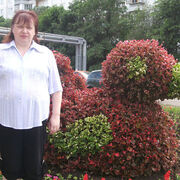 ирина, 49, Собинка