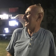 Бесо, 55, Амстердам