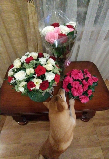 Yana (@yana36144) — my photo № 12