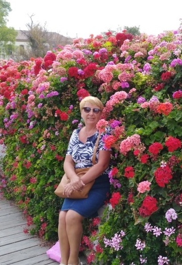 My photo - Tatyana, 61 from Boksitogorsk (@tatyana297053)