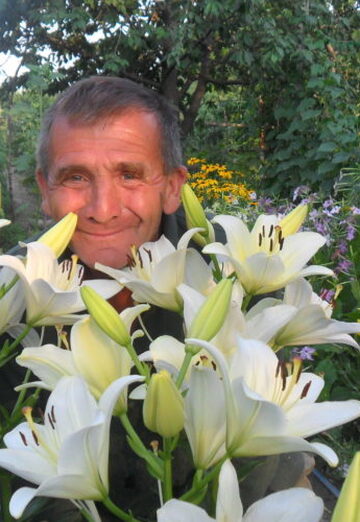 Моя фотография - Владимир, 70 из Новопавловск (@vladimir129128)