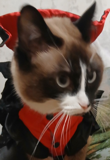 Darya (@darya87419) — my photo № 4