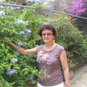 Самсонова Елена, 34, Рыбинск