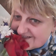 Роза 52 Щёлкино