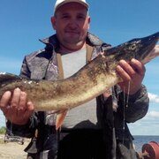 Слава, 48, Вырица