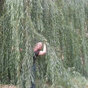 Ольга Olga, 58, Безенчук