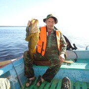 Юрий, 56, Лоухи