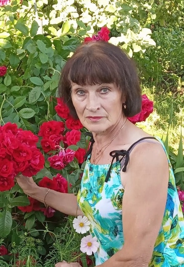 My photo - Galina, 63 from Vladimir (@galinablinova2)