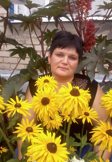 Моя фотография - Галина, 48 из Валуйки (@galinaoleynikova)