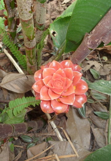 Madam F (@tatyana30539) — my photo № 10