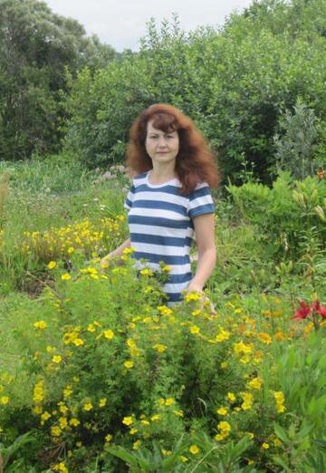 Моя фотография - Елена, 54 из Череповец (@elena315261)