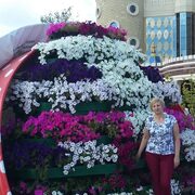 Елена, 56, Кувандык