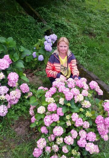 My photo - elena, 49 from Naberezhnye Chelny (@elena63718)