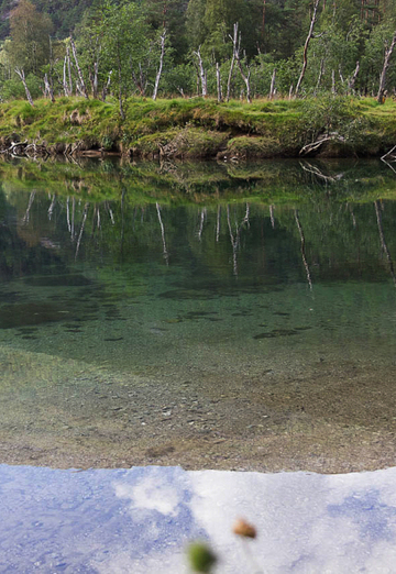 Yuriy (@uriy196519) — my photo № 2