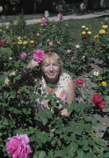 Моя фотография - Любовь, 68 из Новомосковск (@lubov27949)
