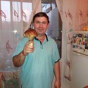 Александр, 50, Воскресенск