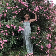 Елена, 59, Льгов