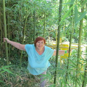 ЗИНАИДА, 63, Волчанск
