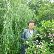 Людмила, 60, Мостовской