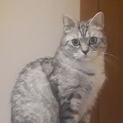 Татьяна, 34, Долгопрудный
