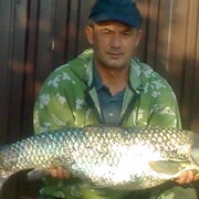 abu, 55, Нарткала