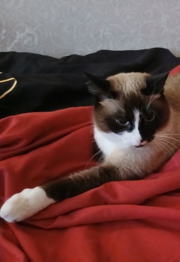 Darya (@darya87419) — my photo № 6