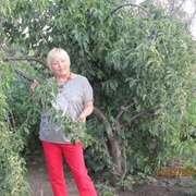 валентина, 66, Александров