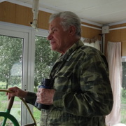 Владимир, 76, Лиски (Воронежская обл.)