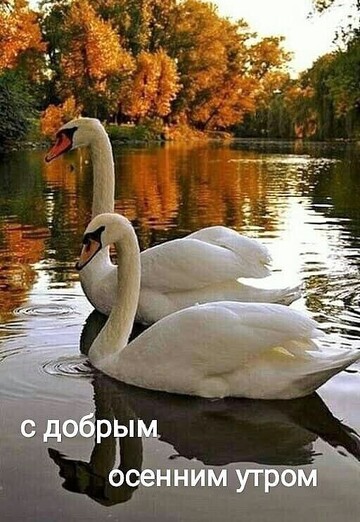 Anatoliy (@anatoliy87569) — my photo № 2