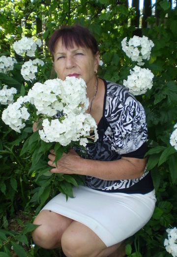 My photo - Tatyana, 73 from Ivanovo (@tatyana41406)