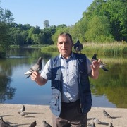 Рамин алийев, 45, Калининград