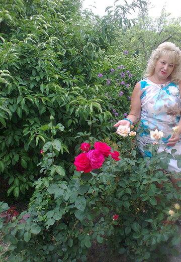 Моя фотография - Валентина, 61 из Симферополь (@valentina5409)