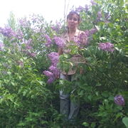 Галина Бузенкова, 54, Балашов