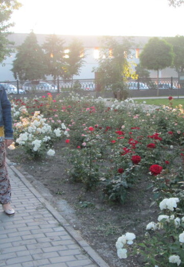 Моя фотография - МАРИЯ, 59 из Астрахань (@mariya98840)