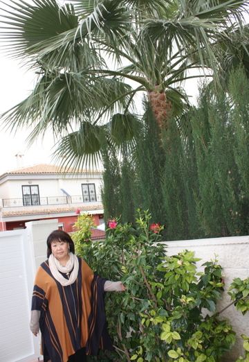 My photo - Irina, 68 from Torrevieja (@irinakim)