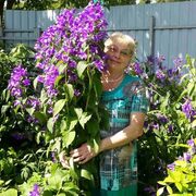 Галина, 63, Сергиев Посад