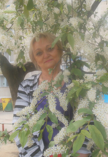 Моя фотография - Наталья, 67 из Старый Оскол (@natalya10498)