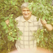 Владимир, 67, Вологда