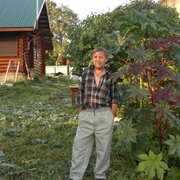 Александр, 63, Краснозаводск