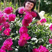 Елена, 36, Саянск