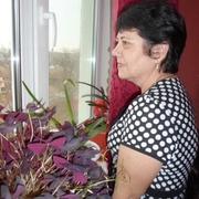 Елена, 56, Хороль