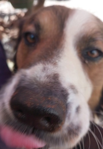 Andri (@andri395) — my photo № 3