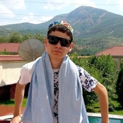 Zika 31 Tashkent