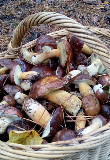 Andrey (@andrey755791) — my photo № 3