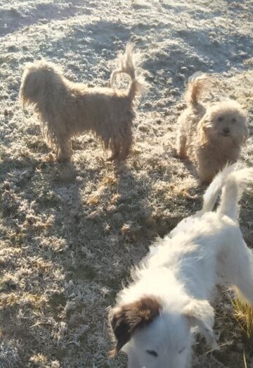 CARLOS SALOMON ATILAN (@carlossalomn) — my photo № 7