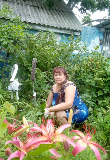 Моя фотография - Елена, 48 из Лесозаводск (@elena439453)