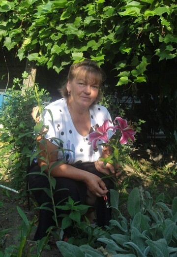 My photo - Tamara, 66 from Zhukovka (@tamara4485)
